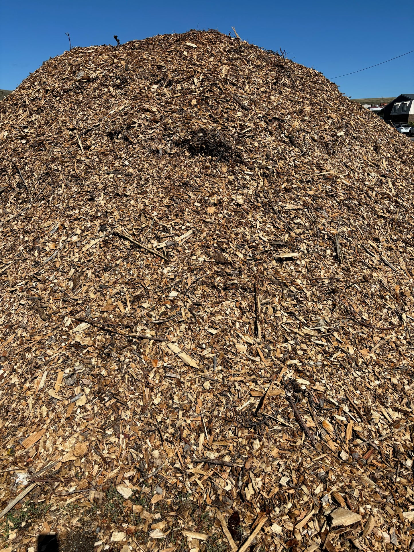 Mulch
